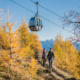 Angebot Herbst
