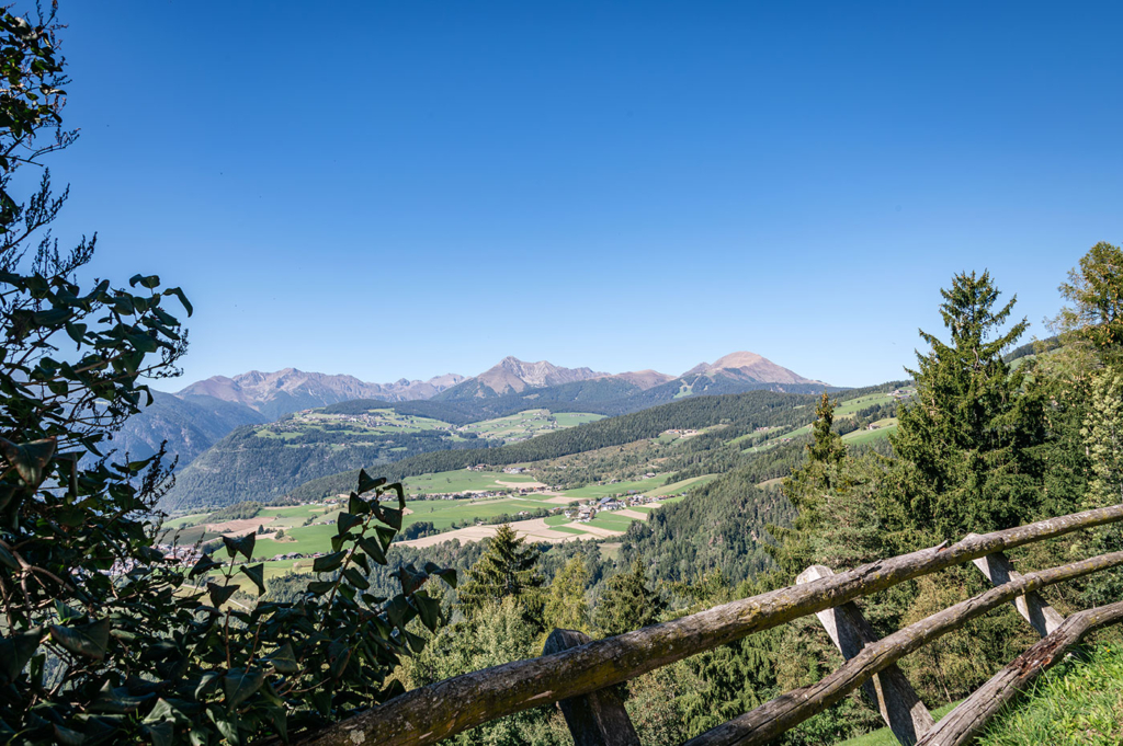 Bergbauernhof Forchnerhof Suedtirol 22